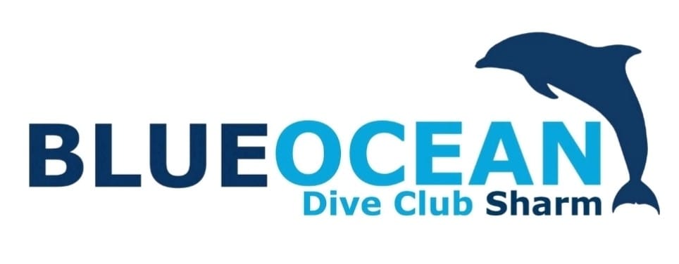 Blue Ocean Sharm